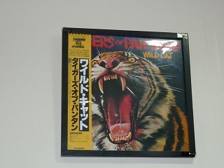 ジャケット写真