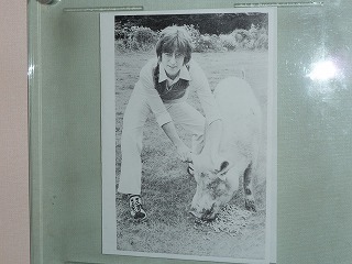 ジャケット写真