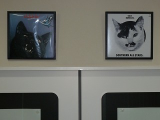 ジャケット写真