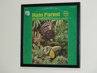 ジャケット写真