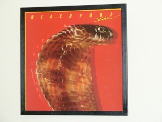 ジャケット写真